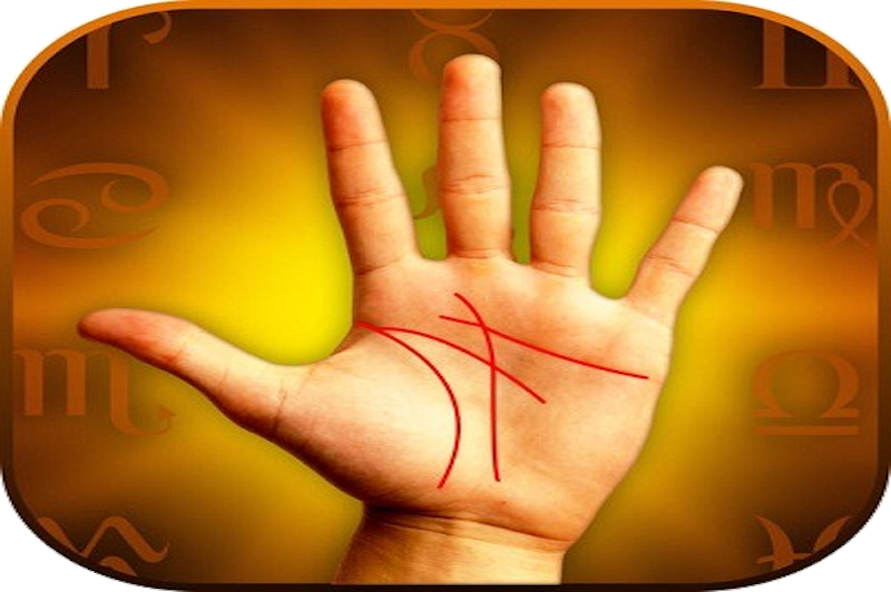 Best Tarot Reading Specialists in Hayward
