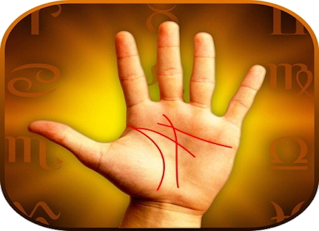 Famous Palm Reading Astrologer in Virginia